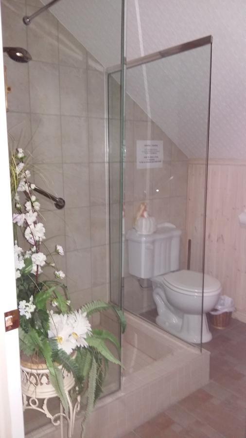 Gite Agricole Les Lilas Saint Wenceslas Exterior foto