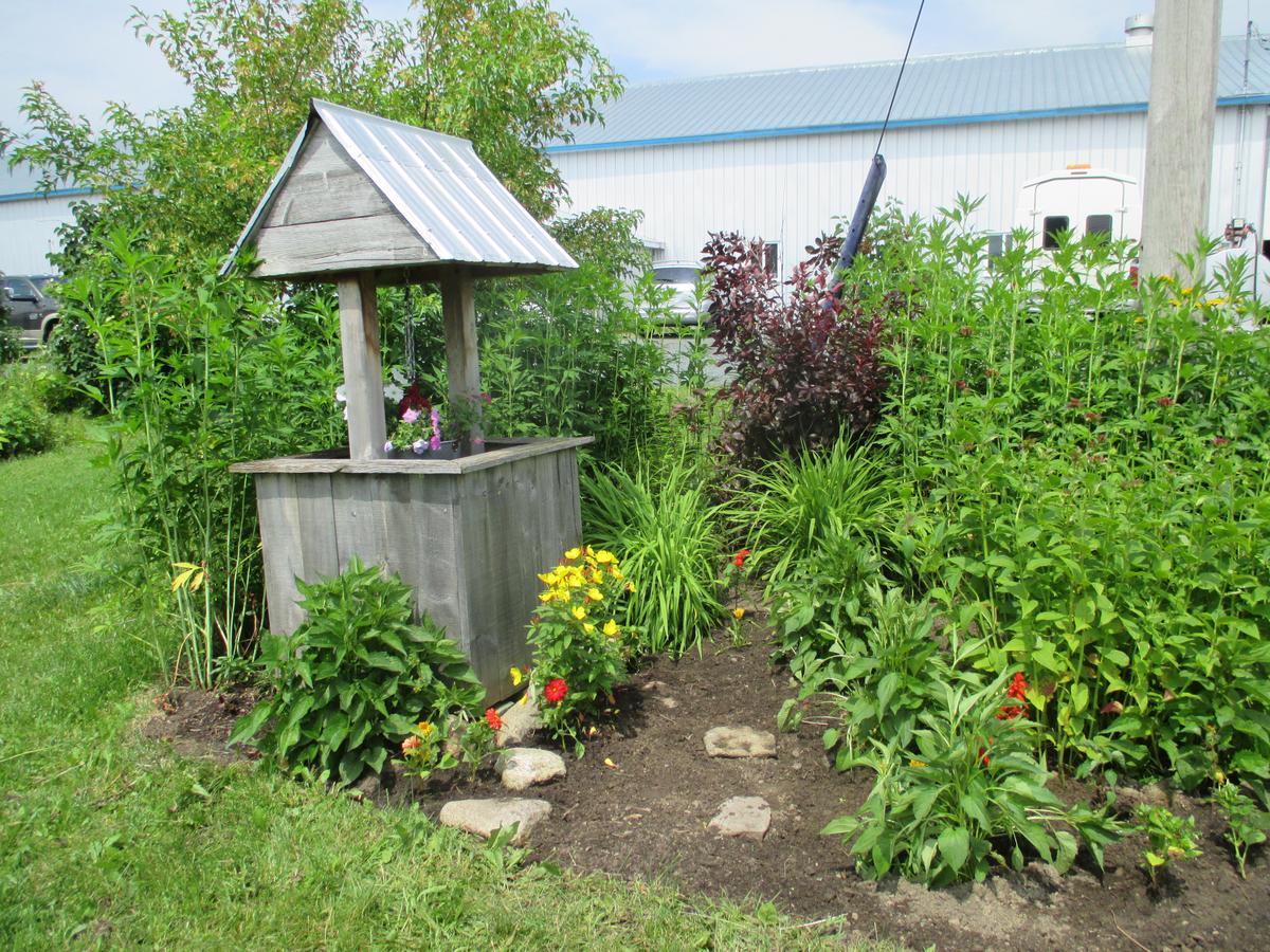 Gite Agricole Les Lilas Saint Wenceslas Exterior foto